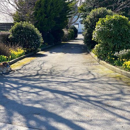 Rose Cottage Captivating 1-Bed Cottage In Bangor Buitenkant foto